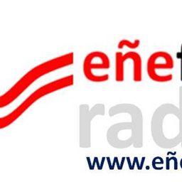 Website preview